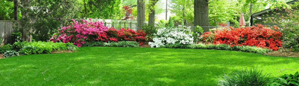 All Service Lawn & Landscape, Inc.